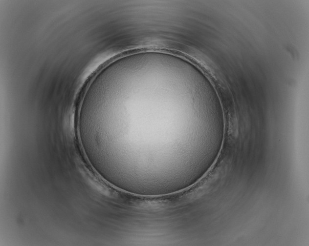 X0000113761078200909231200