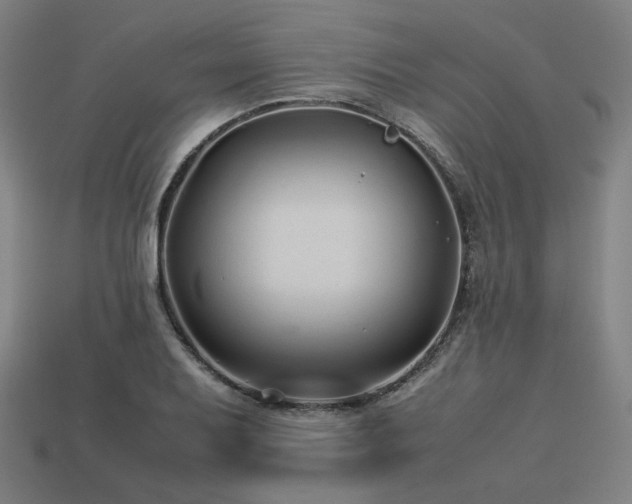 X0000113761079200909231200