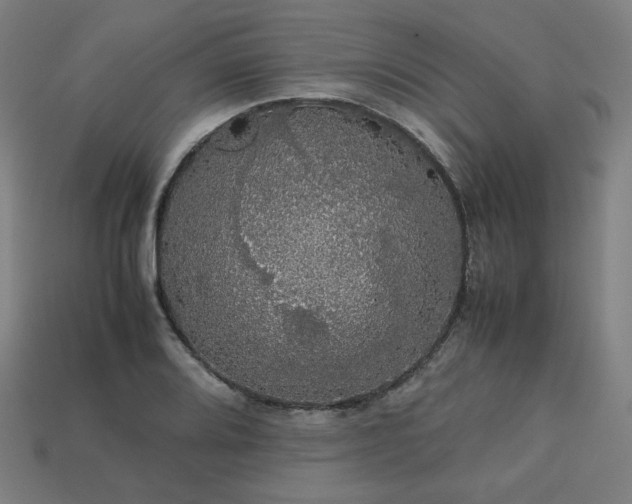 X0000113761080200909231200