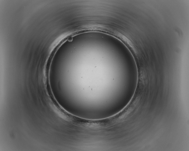 X0000113761082200909231200