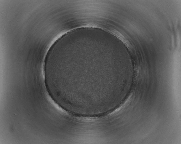 X0000113761084200909231200