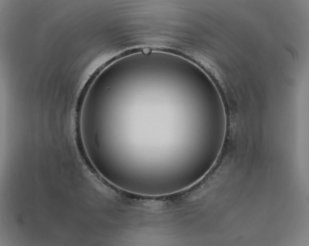 X0000113761085200909231200