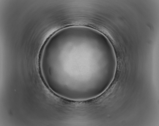 X0000113761087200909231200