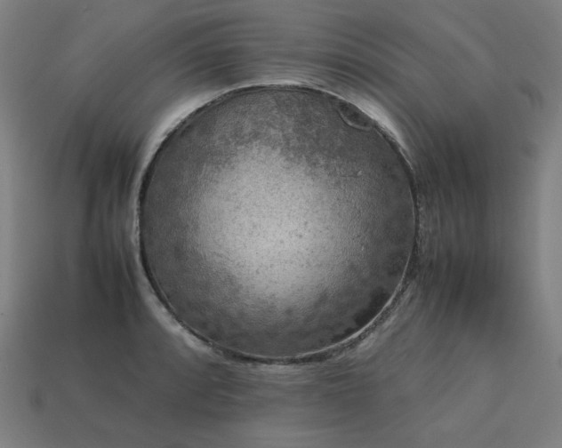 X0000113761088200909231200