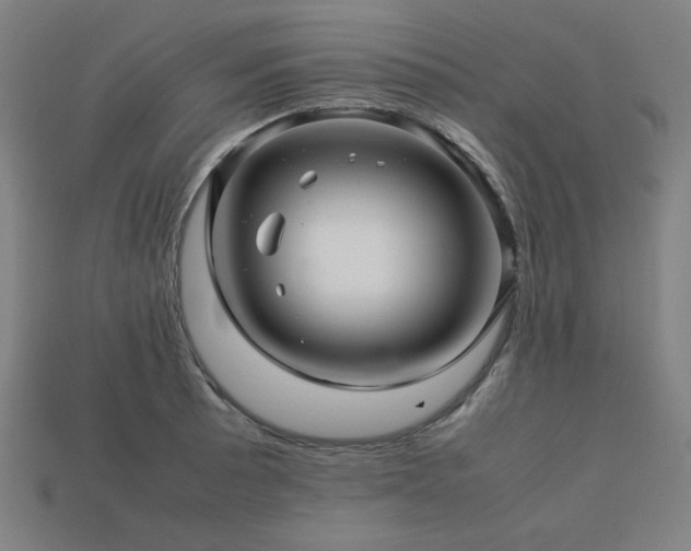 X0000113761089200909231159