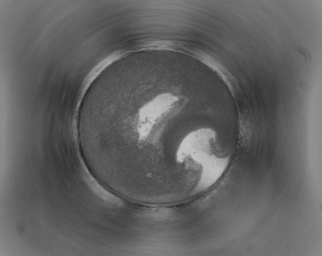 X0000113761090200909231159