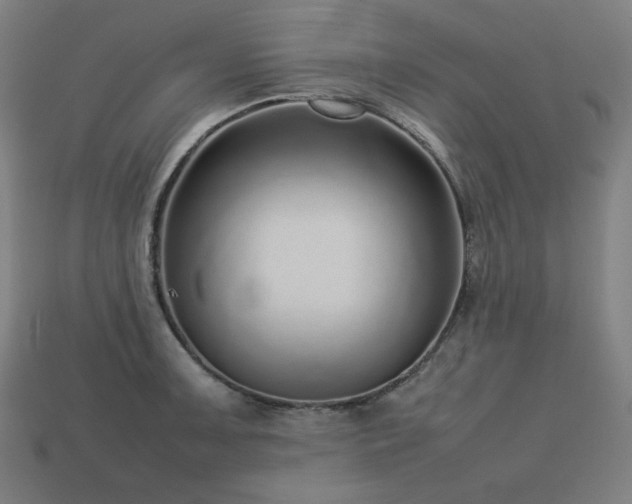 X0000113761091200909231159