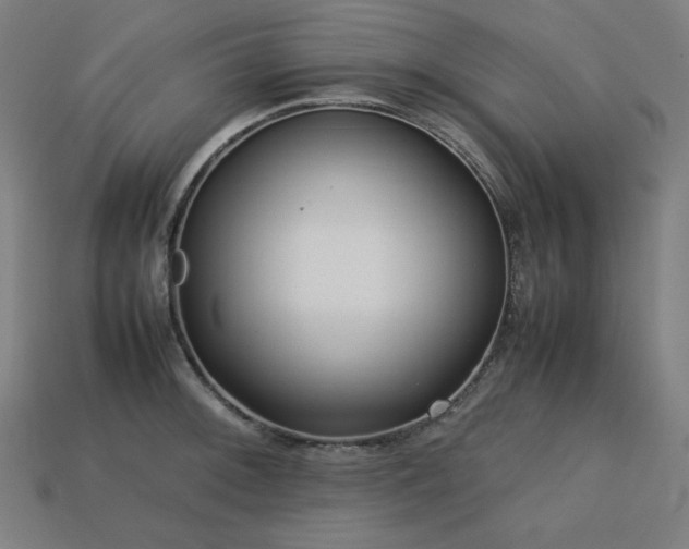 X0000113761092200909231159