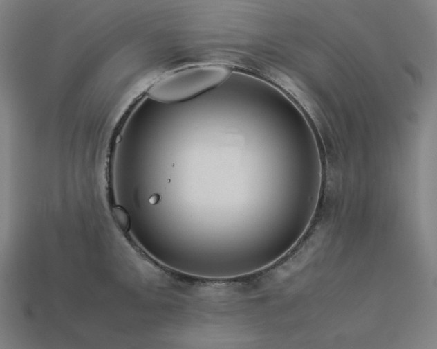 X0000113761093200909231159