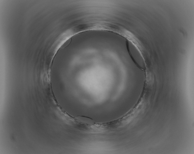 X0000113761097200909231159