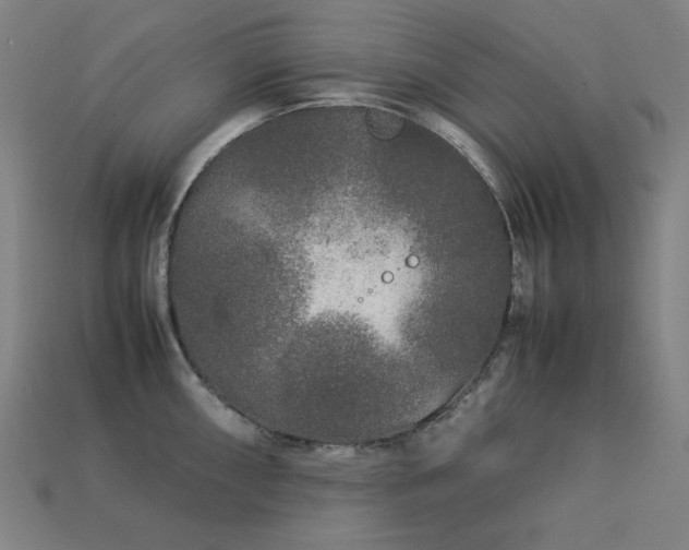 X0000113761098200909231159