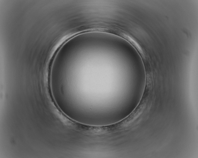 X0000113761099200909231159