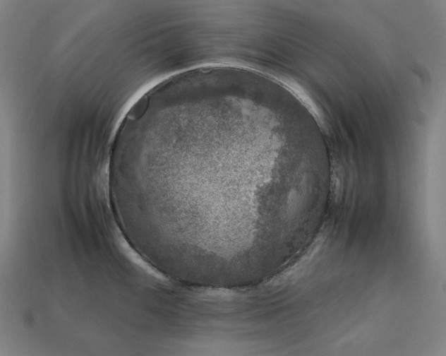 X0000113761100200909231159
