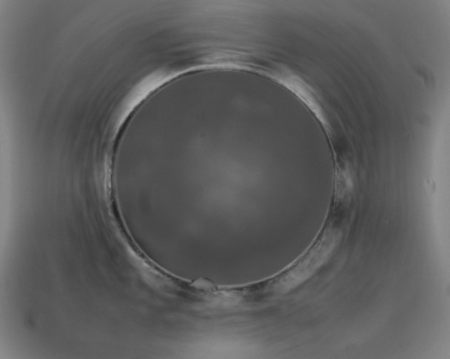 X0000113761101200909231159