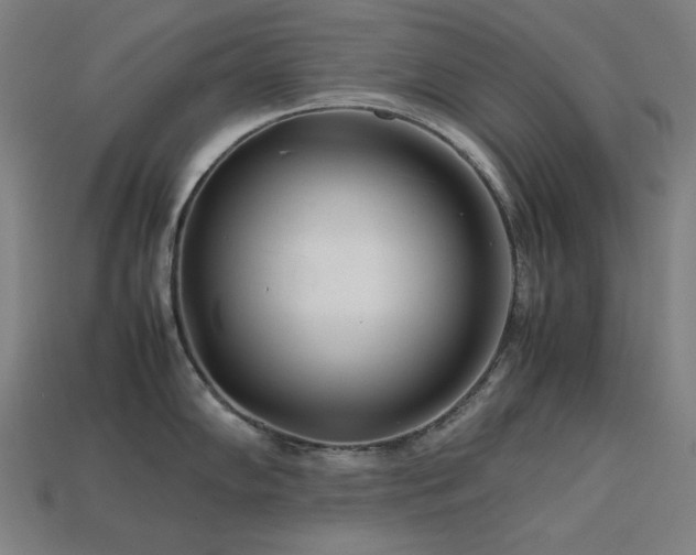 X0000113761102200909231159