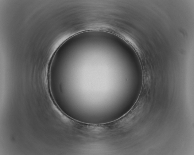 X0000113761103200909231159