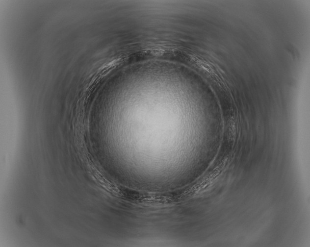 X0000113761105200909231158