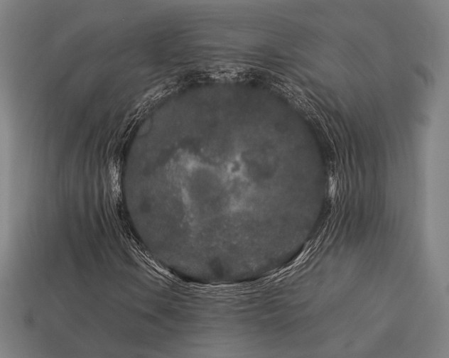 X0000113761106200909231158