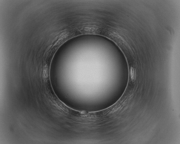 X0000113761107200909231158