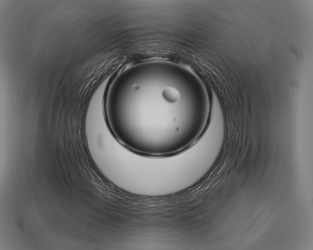 X0000113761108200909231158