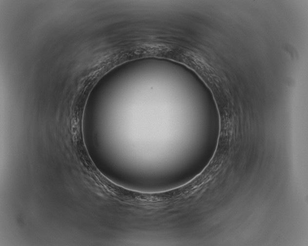 X0000113761109200909231158