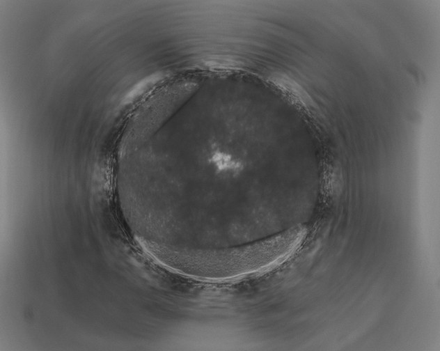 X0000113761110200909231158