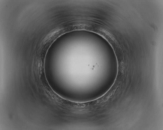 X0000113761111200909231158