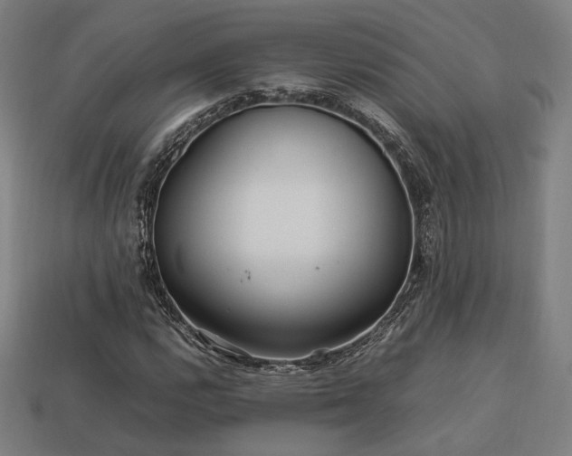 X0000113761112200909231158