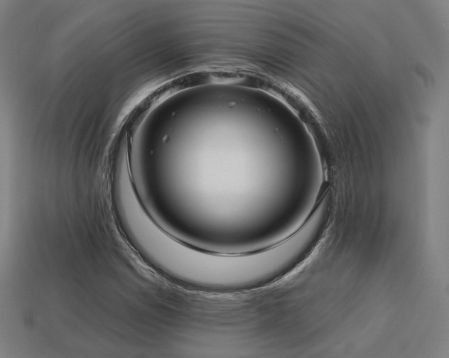 X0000113761114200909231159