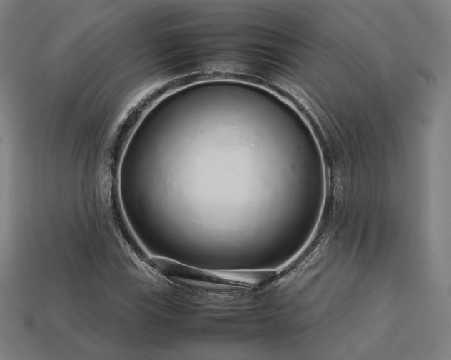 X0000113761115200909231159