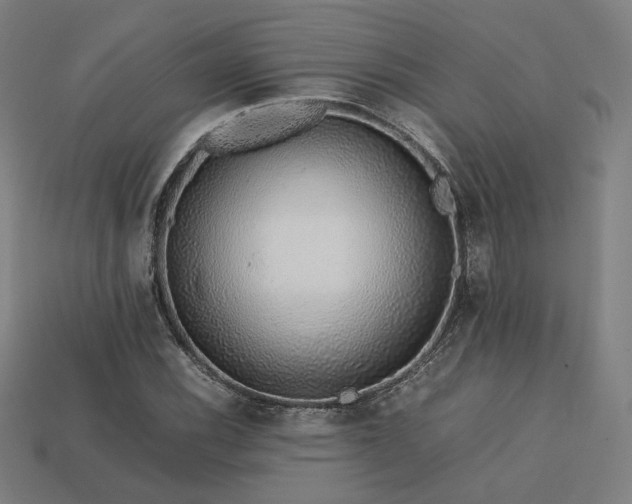 X0000113761116200909231159