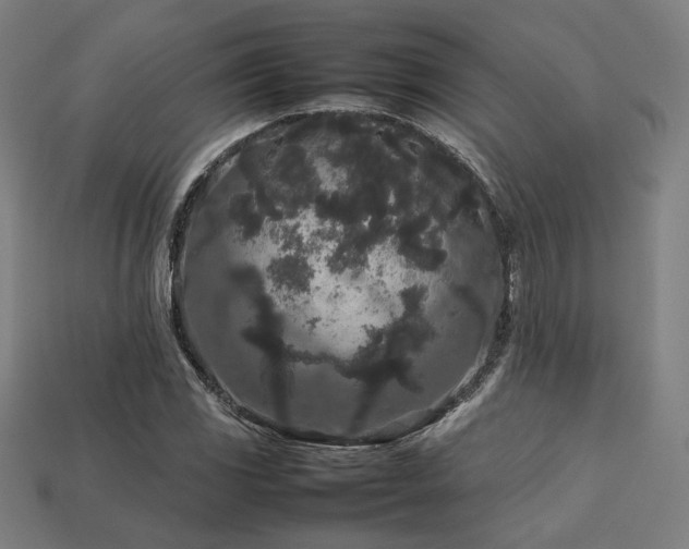 X0000113761117200909231159