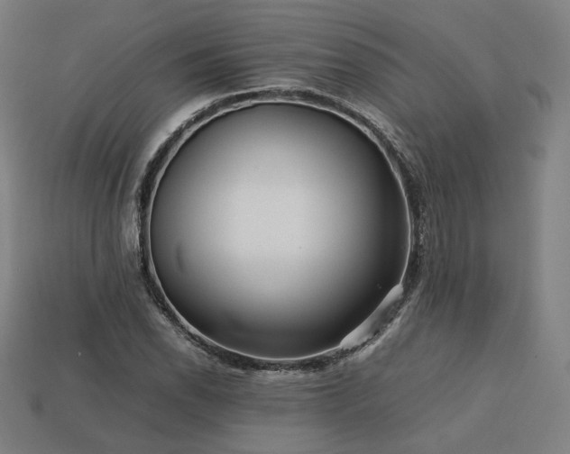 X0000113761118200909231159