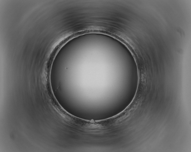 X0000113761119200909231159