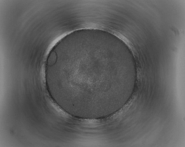 X0000113761120200909231159