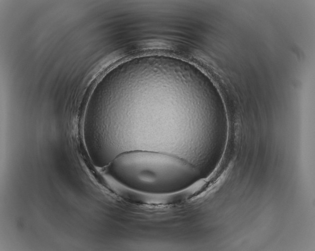 X0000113761121200909231159