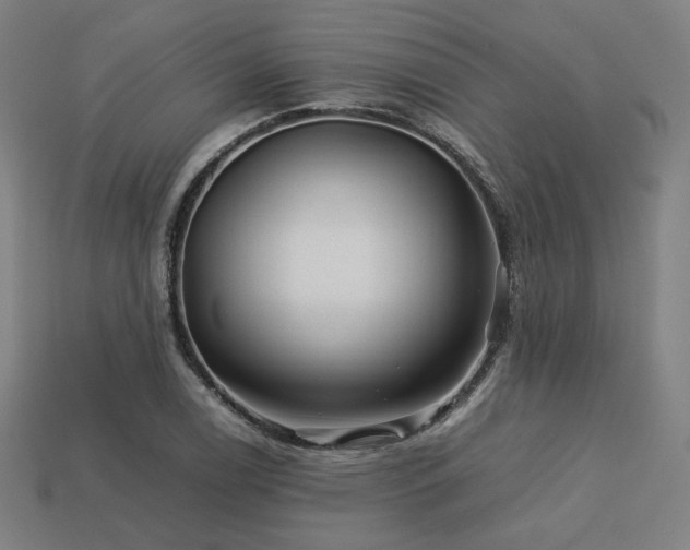 X0000113761122200909231159