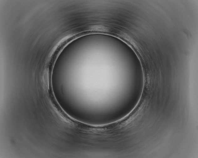 X0000113761123200909231159
