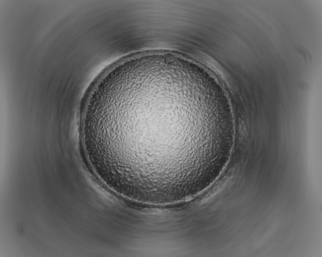 X0000113761124200909231159