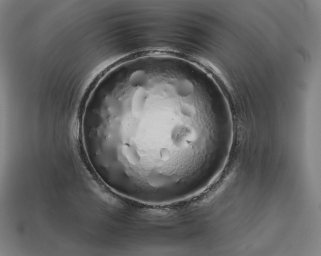 X0000113761125200909231159