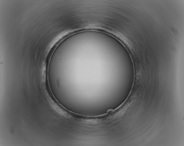 X0000113761126200909231159
