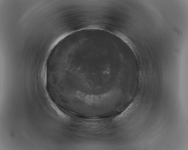 X0000113761127200909231159