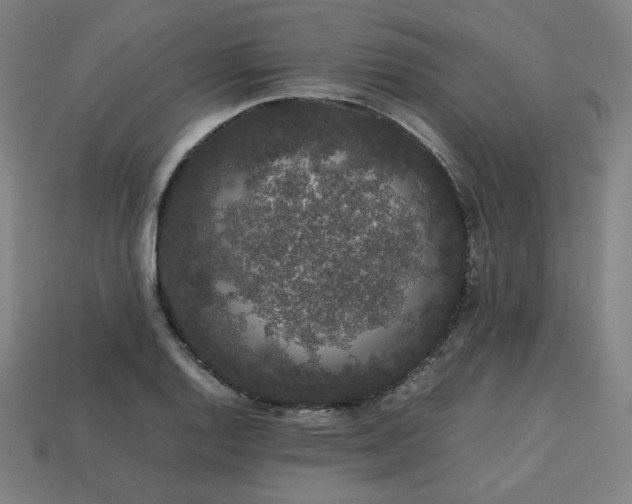 X0000113761128200909231159