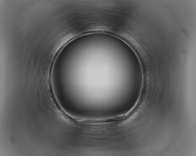 X0000113761129200909231159