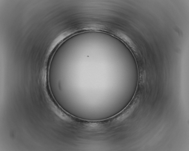 X0000113761130200909231159