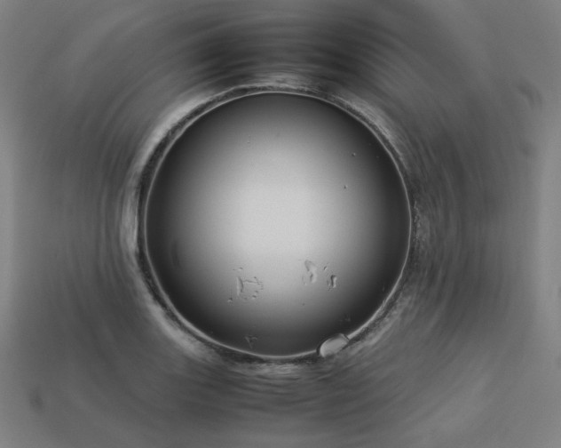 X0000113761131200909231159