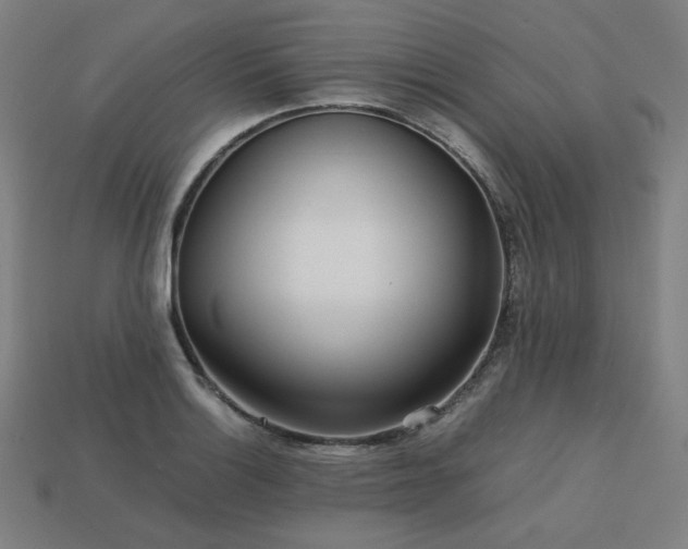 X0000113761132200909231159