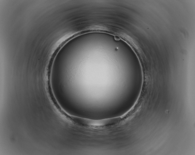 X0000113761133200909231159