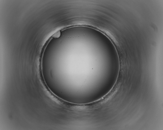X0000113761134200909231159