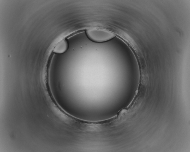 X0000113761136200909231159